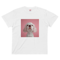 urday【Animal／White Dog／P】フォトTシャツ（9407684）ホワイト/urday（マミアン）